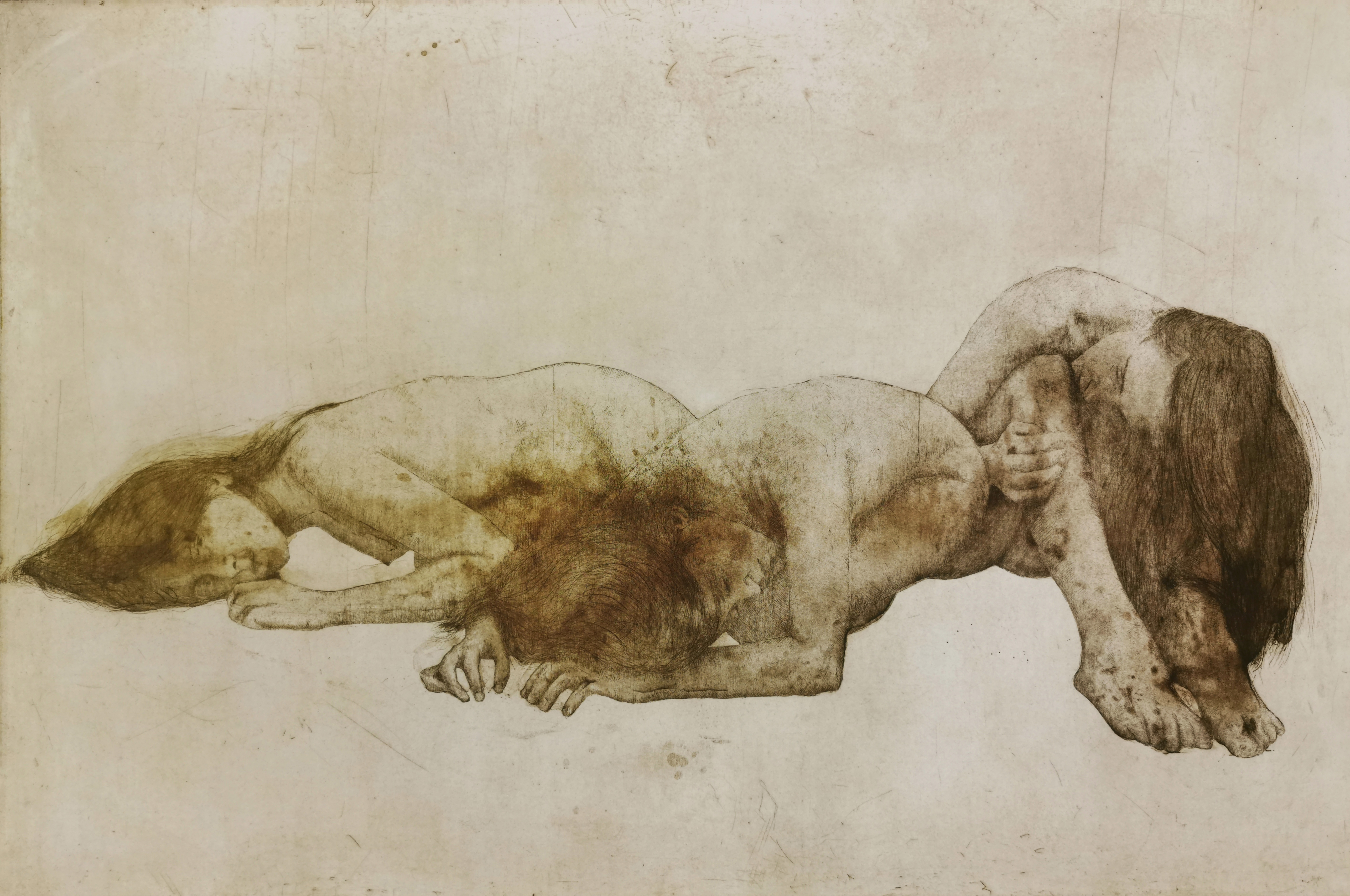 Premio de Grabado San Lorenzo de El Escorial