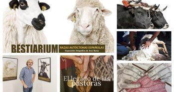 Bestiarium en San Lorenzo de El Escorial