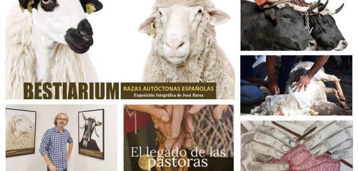 Bestiarium en San Lorenzo de El Escorial