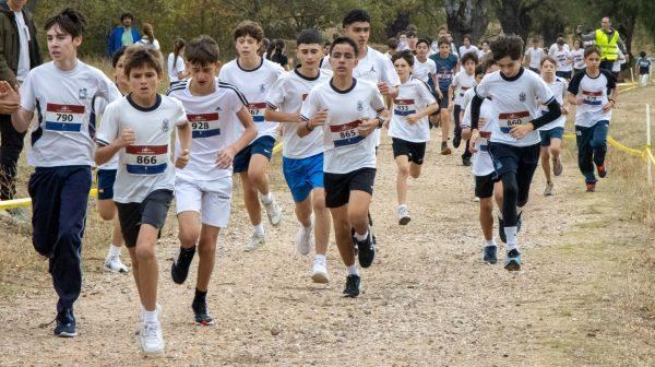 Cross Escolar 2025