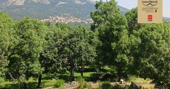 Encuentro Ecoturismo en San Lorenzo de El Escorial