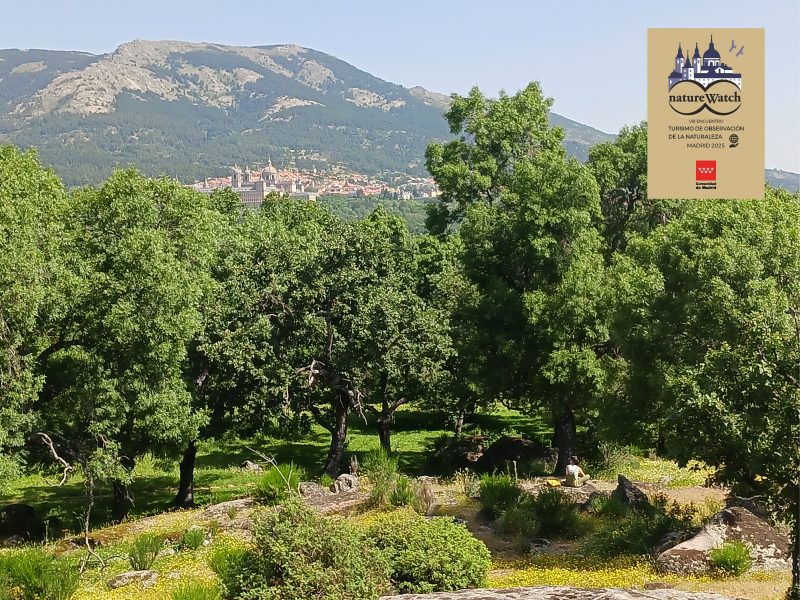 Encuentro Ecoturismo en San Lorenzo de El Escorial