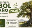 Árbol del Año de San Lorenzo de El Escorial 2026