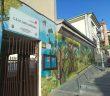 Puesta a punto de los coles curso 26-27