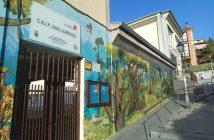 Puesta a punto de los coles curso 26-27