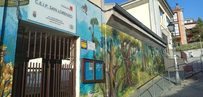Puesta a punto de los coles curso 26-27